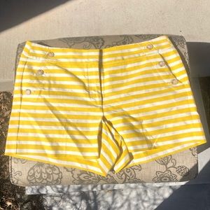 LOFT Chino Shorts 14